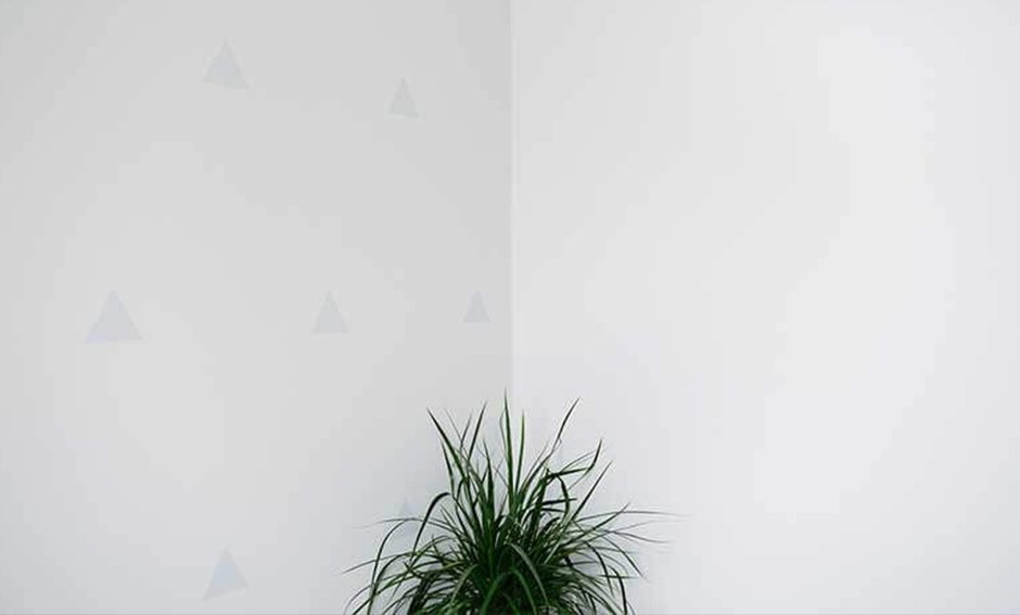 Marketing Solutions